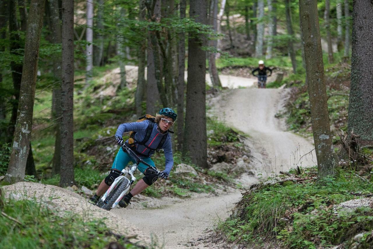 Chaletpark Petzen Hotell Feistritz ob Bleiburg Exteriör bild