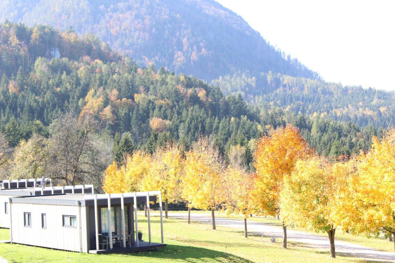 Chaletpark Petzen Hotell Feistritz ob Bleiburg Exteriör bild